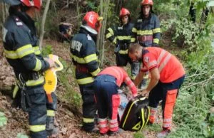 Un bărbat de 54 de ani a murit după ce un copac a căzut peste el în pădurea din satul Dreptu, Neamț