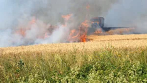 Incendiile de vegetație au distrus sute de hectare de grâu în Mehedinți și Caraș-Severin