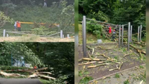 Un tânăr de 27 de ani a murit după ce un copac putrezit a căzut peste el, o femeia rănită este internată la spital