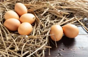 Ouă albe sau brune? Greșeala pe care o fac toți românii când merg la supermarket. Care sunt, de fapt, mai bune!