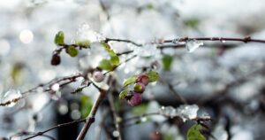 Adio, soare în București! Schimbare radicală de temperatură în martie. Ce se întâmplă chiar de duminică!