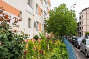 Amenda uriașă pe care o pot plăti românii care stau la bloc! Ce nu ai voie să faci cu spațiul verde din fața ferestrei