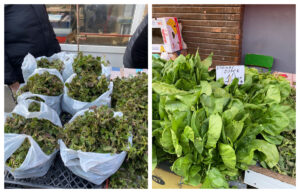 Prețuri ireale în piețe! Urzicile au ajuns să coste mai mult de două ori decât carnea de porc sau vita în Postul Paștelui