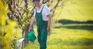 Greșeala uriașă pe care o fac românii cu gazonul primăvara! De ce nu trebuie să scoți aspersorul în prima zi caldă