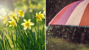 Anunț de ultimă oră de la ANM! Ce se întâmplă cu vremea în următoarele două săptămâni: când revin ploile în România