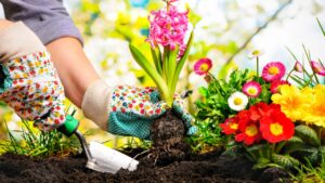 Secretul pentru o grădină superbă! Ce trebuie să plantezi neapărat în martie ca să ai flori până la toamnă