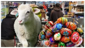 Adio, miel de Paște? Prețul uriaș a ajuns la 70 de lei pe kilogram: „E masa de lux pentru români”