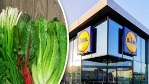 Veste uriașă pentru clienții Lidl! Ce apare la raft de joi: Prețurile sunt de nerefuzat pentru toți românii!