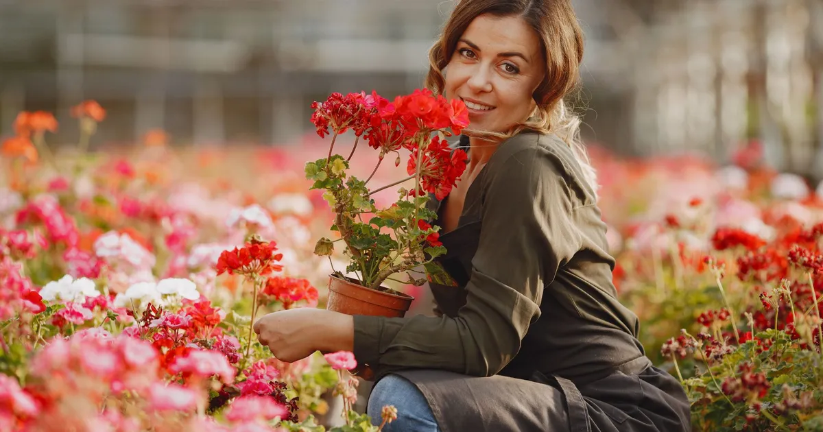 Un prosop vechi te ajută să îți uzi florile când pleci de acasă. Soluția simplă pentru plantele tale