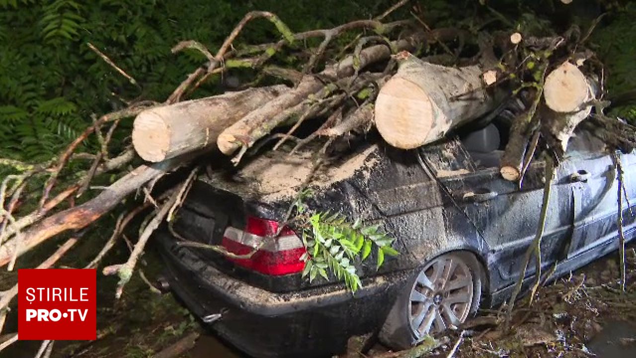 Doi bărbați au fost răniți după ce o vijelie a pus la pământ doi arbori. O mașină a fost lovită