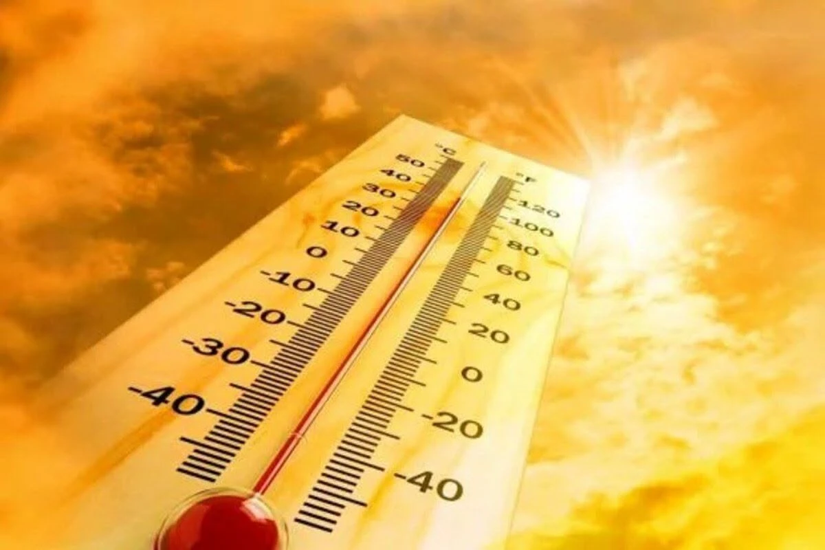 România printre țările din UE cele mai afectate de incendiile de vegetație. Seceta și canicula accentuează pericolul de dezastru