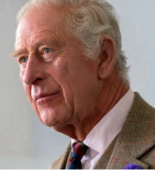 Tensiuni la Palatul Buckingham. Clarificările privind statutul Prințului Harry și al Meghan Markle au generat controverse