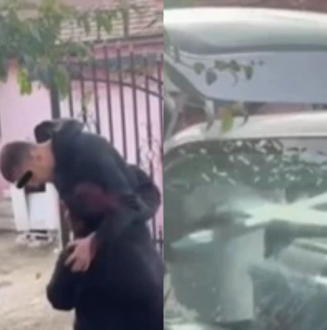 Tânăra găsită moartă într-o valiză pe râul Olt a fost adusă acasă. Principalul suspect a fugit din România