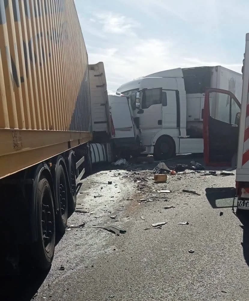 Voluntare britanice, moarte într-un accident rutier în Caraș-Severin. Transportau câini salvați